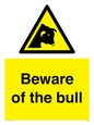 WV7008: Beware of the bull
