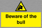WV7008: Beware of the bull