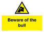 WV7008: Beware of the bull