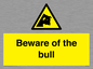 WV7008: Beware of the bull