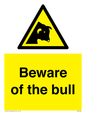 WV7008: Beware of the bull