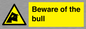 WV7008: Beware of the bull