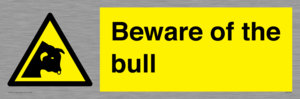 WV7008: Beware of the bull