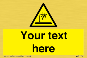 WV7174: Custom Danger deep water