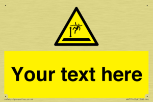 WV7174: Custom Danger deep water