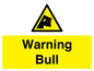 WV7772: Warning bull