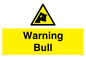WV7772: Warning bull