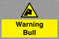 WV7772: Warning bull