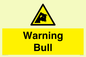 WV7772: Warning bull