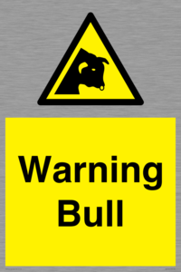 WV7772: Warning bull