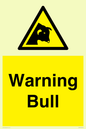 WV7772: Warning bull