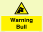 WV7772: Warning bull