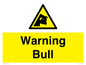 WV7772: Warning bull