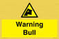 WV7772: Warning bull