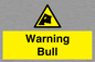 WV7772: Warning bull