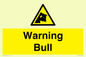 WV7772: Warning bull