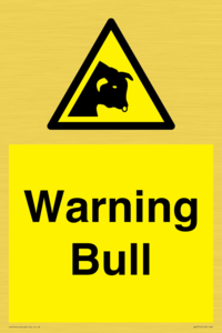 WV7772: Warning bull