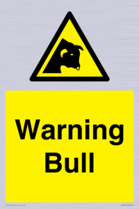 WV7772: Warning bull