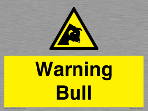 WV7772: Warning bull
