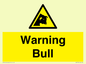 WV7772: Warning bull