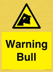 WV7772: Warning bull