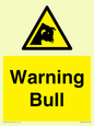 WV7772: Warning bull