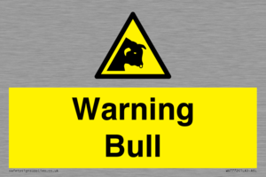 WV7772: Warning bull
