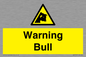 WV7772: Warning bull