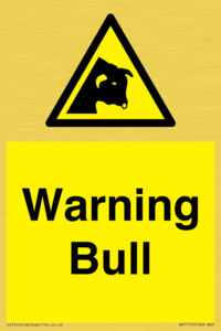 WV7772: Warning bull