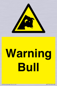 WV7772: Warning bull