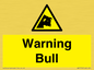 WV7772: Warning bull