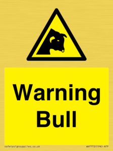 WV7772: Warning bull