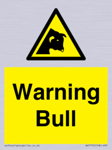 WV7772: Warning bull