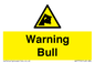 WV7772: Warning bull