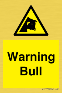 WV7772: Warning bull
