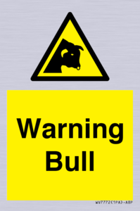 WV7772: Warning bull