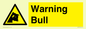 WV7772: Warning bull