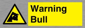 WV7772: Warning bull