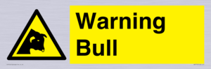 WV7772: Warning bull