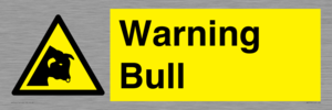 WV7772: Warning bull