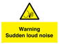 WV7774: Warning Sudden loud noise