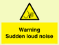 WV7774: Warning Sudden loud noise