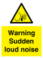 WV7774: Warning Sudden loud noise