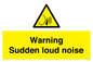 WV7774: Warning Sudden loud noise