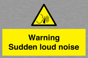 WV7774: Warning Sudden loud noise