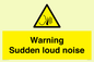 WV7774: Warning Sudden loud noise