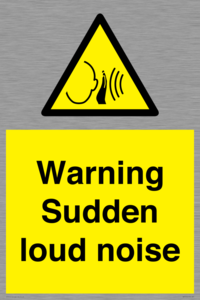 WV7774: Warning Sudden loud noise