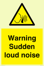 WV7774: Warning Sudden loud noise