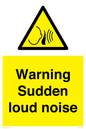 WV7774: Warning Sudden loud noise