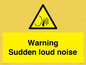 WV7774: Warning Sudden loud noise